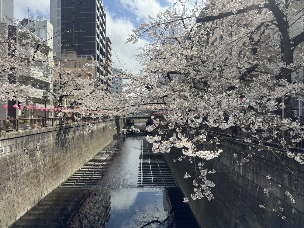 AdobeStock_267069464