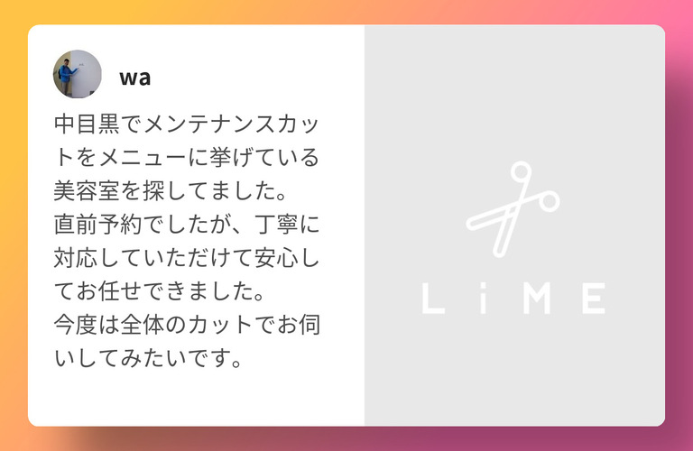 レビュー４　　Thing One Likes